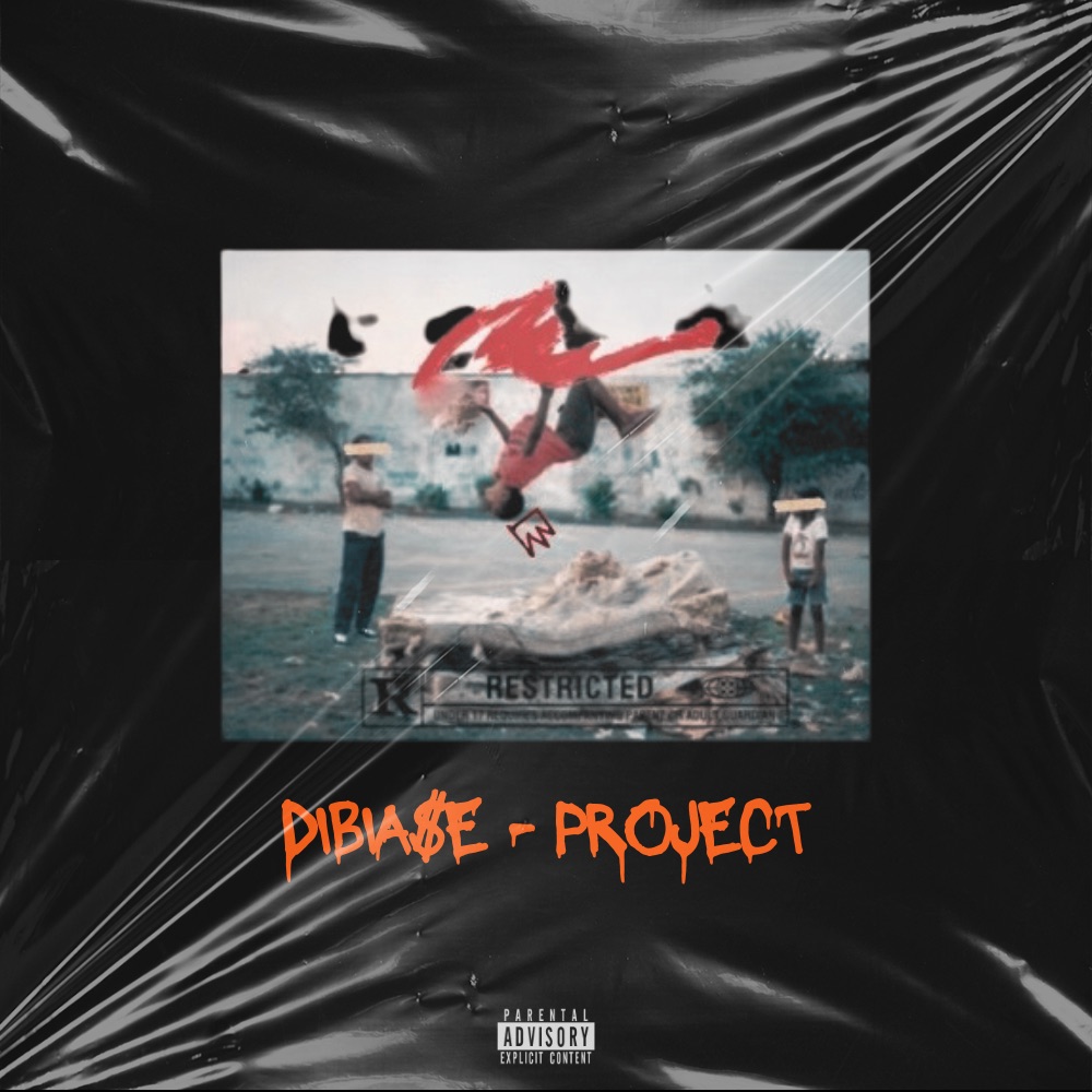 Dibiase Project